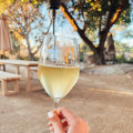 The Perfect White Wines for Wine Lovers in the Making